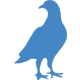 Petes Pest Control Toowoomba - Bird Management Icon