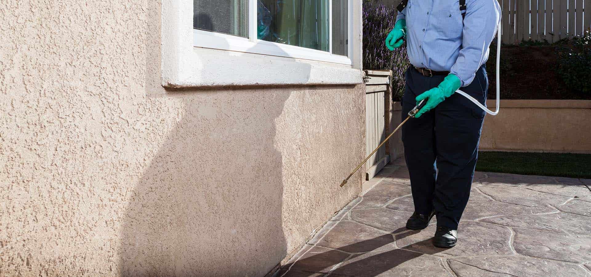 Spraying the exterior of a home | Featured image for the commercial pest control services page of Pete’s Pest Control Toowoomba