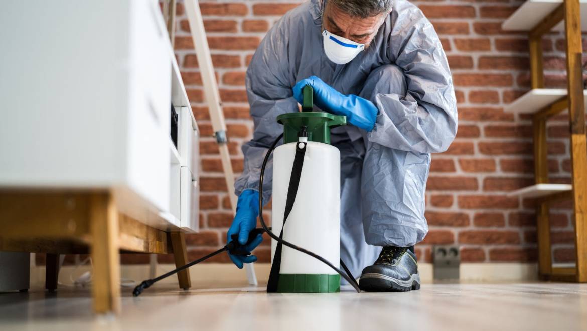 Who Pays for Pest Control in a Rental?