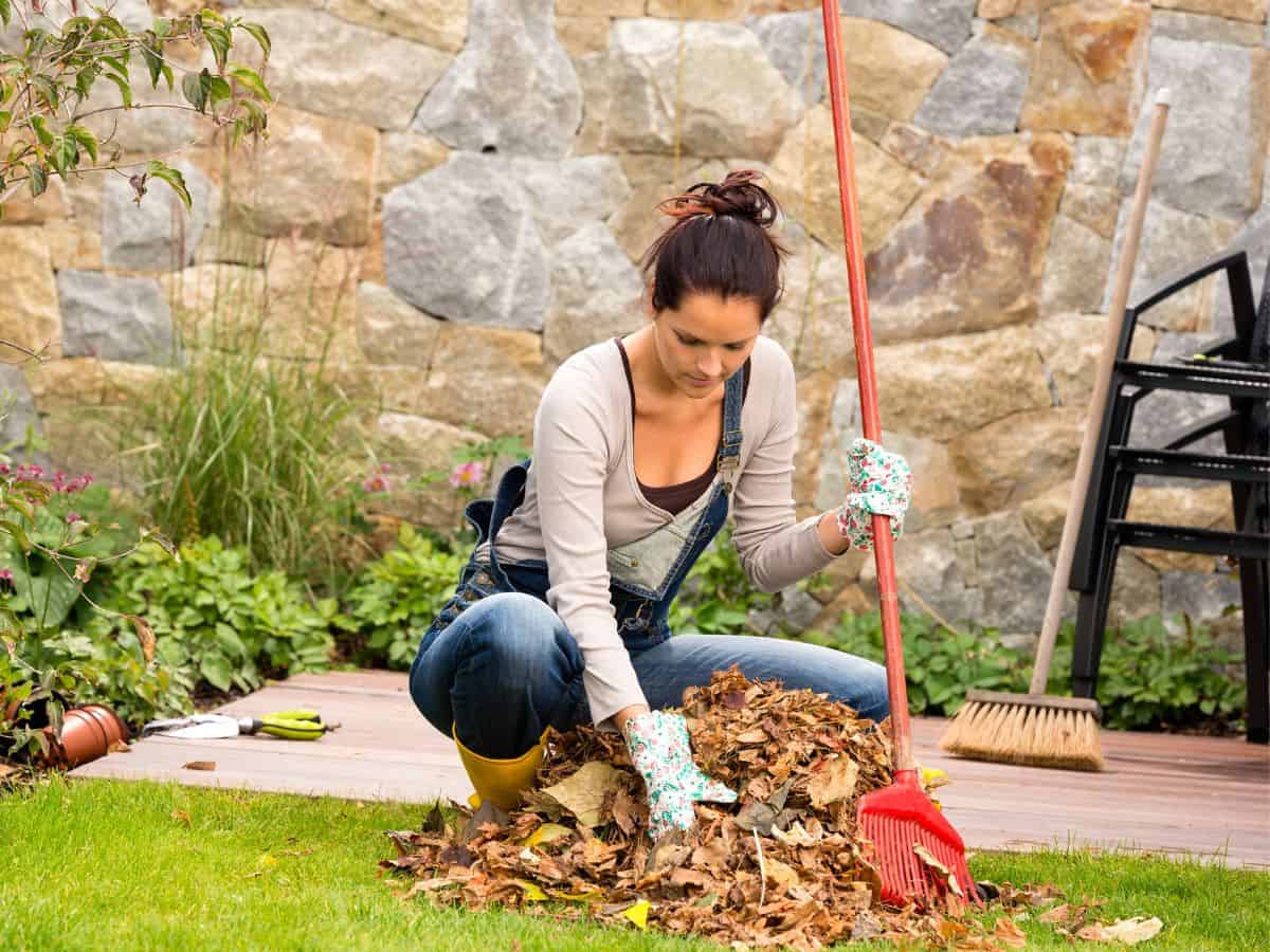 A woman sweeping up leaves | Featured image for the commercial pest control services page of Pete’s Pest Control Toowoomba