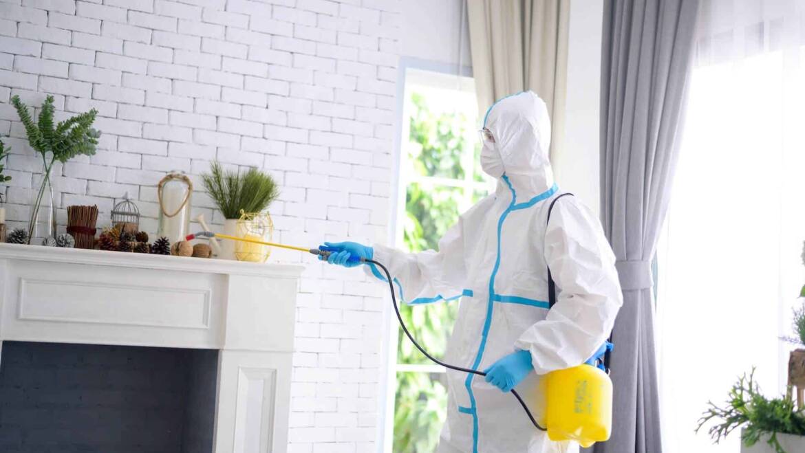 Who Pays for Pest Control in a Rental?