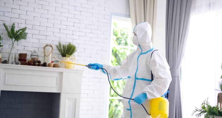 Who Pays for Pest Control in a Rental?