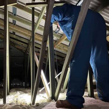 How to Spot Termites in Your Home – Our Best Tips